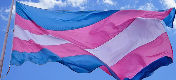 Mulheres trans lutam para ingressar nas pautas feministas. 