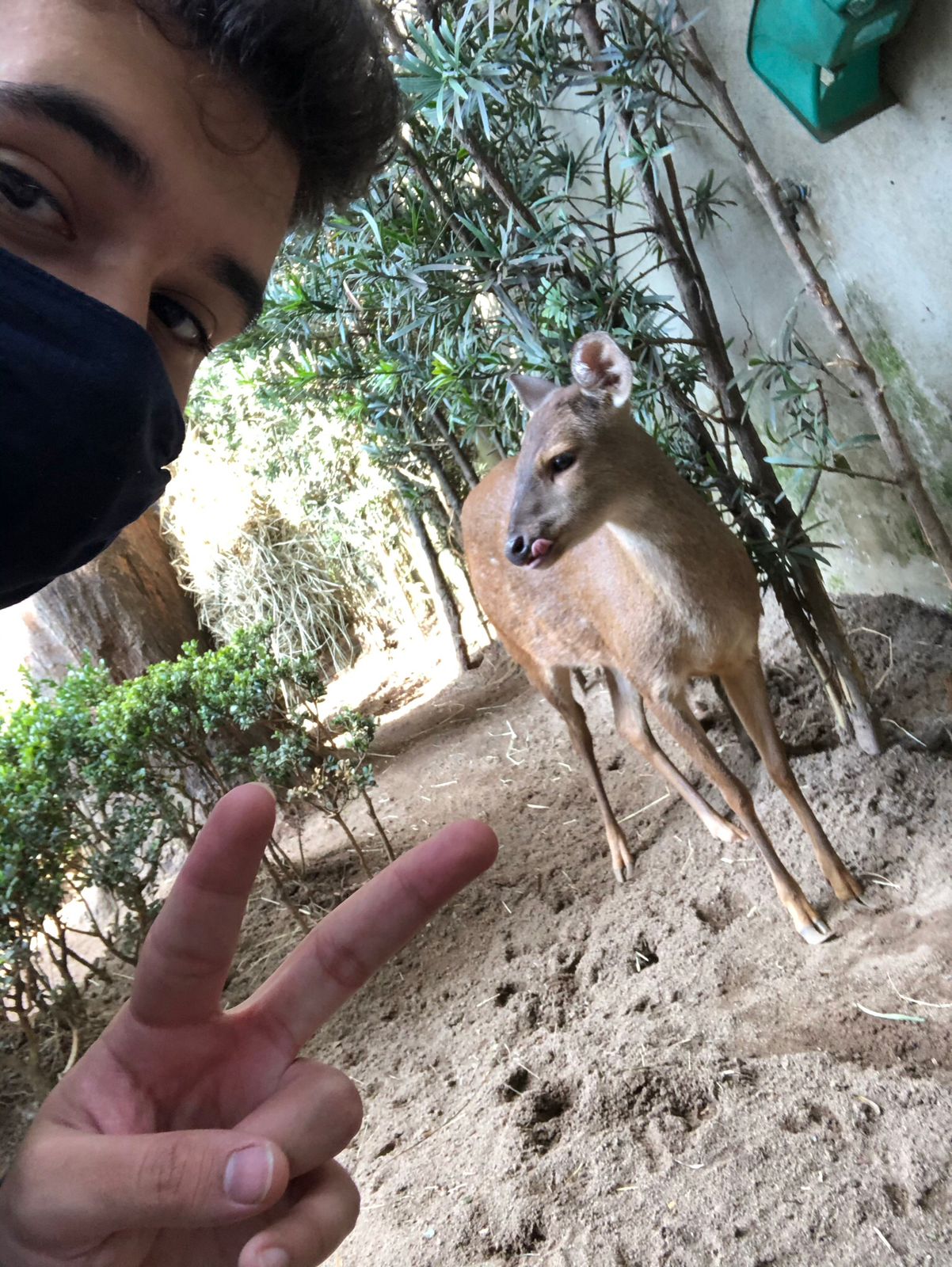 Biólogo posando ao lado de um veado em cativeiro