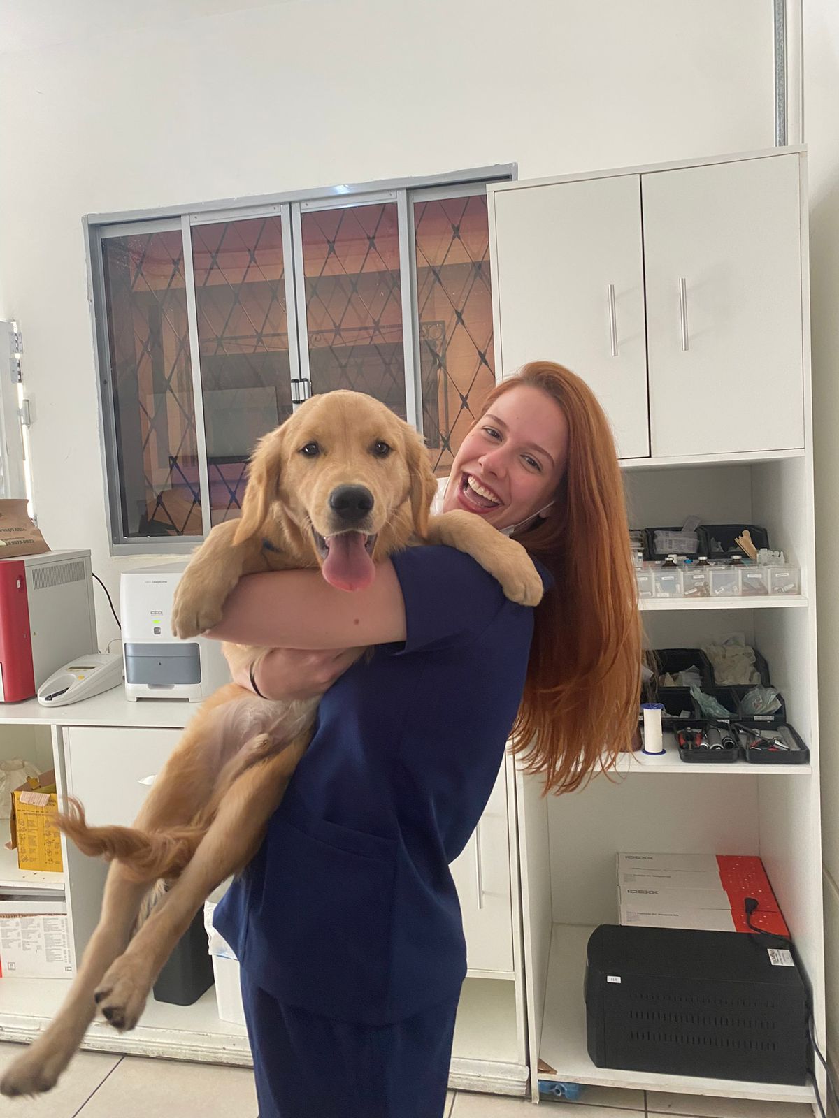 Victória, estudante de Veterinária, agarrada a um cachorro da raça Golden retriever na cozinha de um apartamento